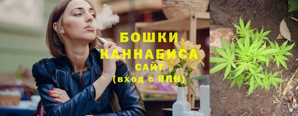 apvp Гусь-Хрустальный