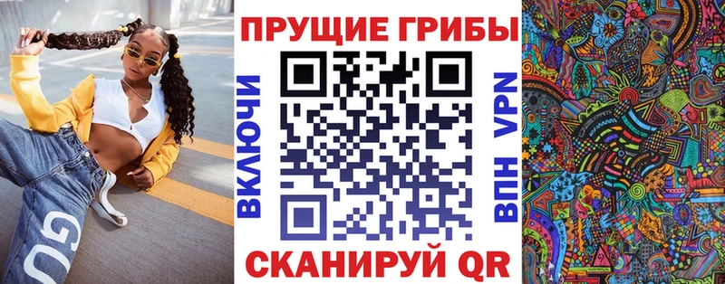 хочу   Горно-Алтайск  Псилоцибиновые грибы Psilocybine cubensis 